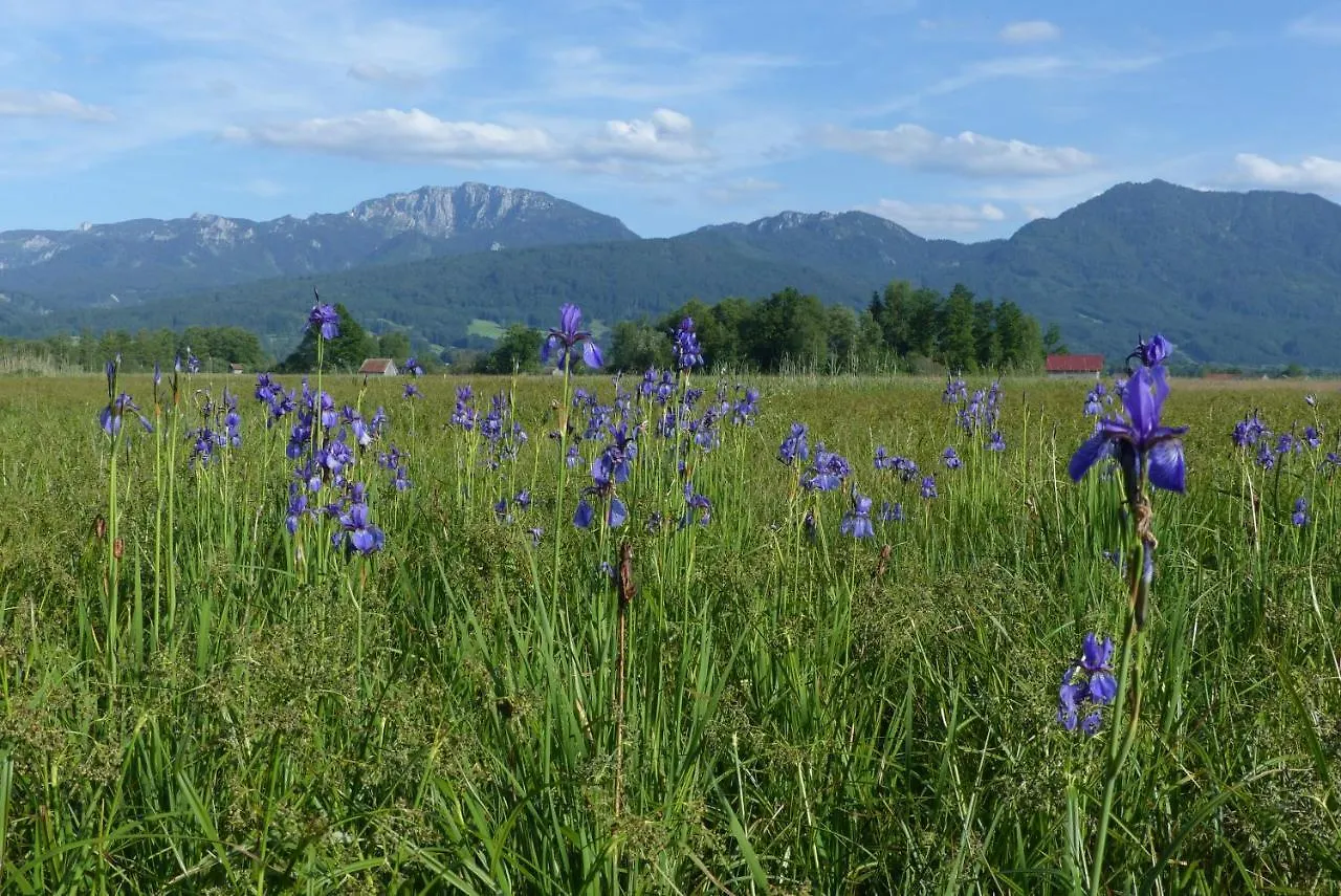 Gasthof Zentrum für Umwelt und Kultur - Gästehaus und Jugendbildungseinrichtung im Maierhof Benediktbeuern